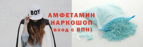индика Алексин
