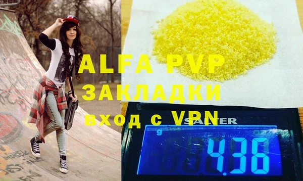 индика Алексин