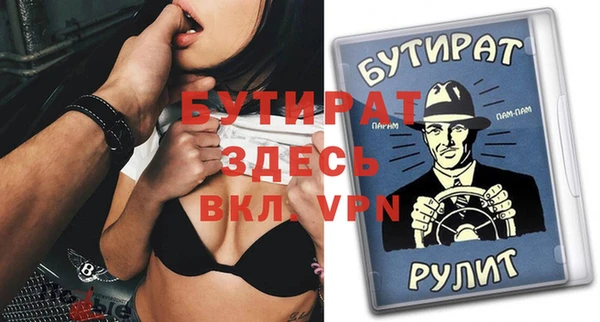индика Алексин