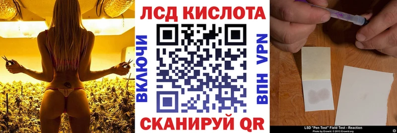 Наркотические марки 1,8мг  продажа наркотиков  mega зеркало  Богданович 