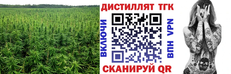 мориарти клад  Богданович  ТГК гашишное масло 